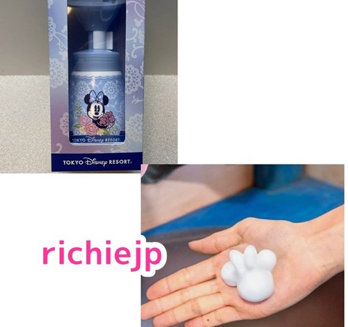 Giappone tokyo disney 2025 - giappone,